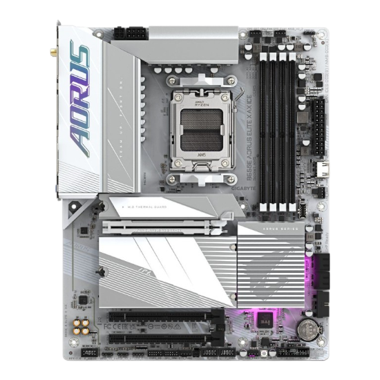 Aorus